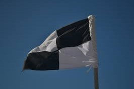 Buffer Zone Patrol Flag (Black and white watercraft/surfing flag)